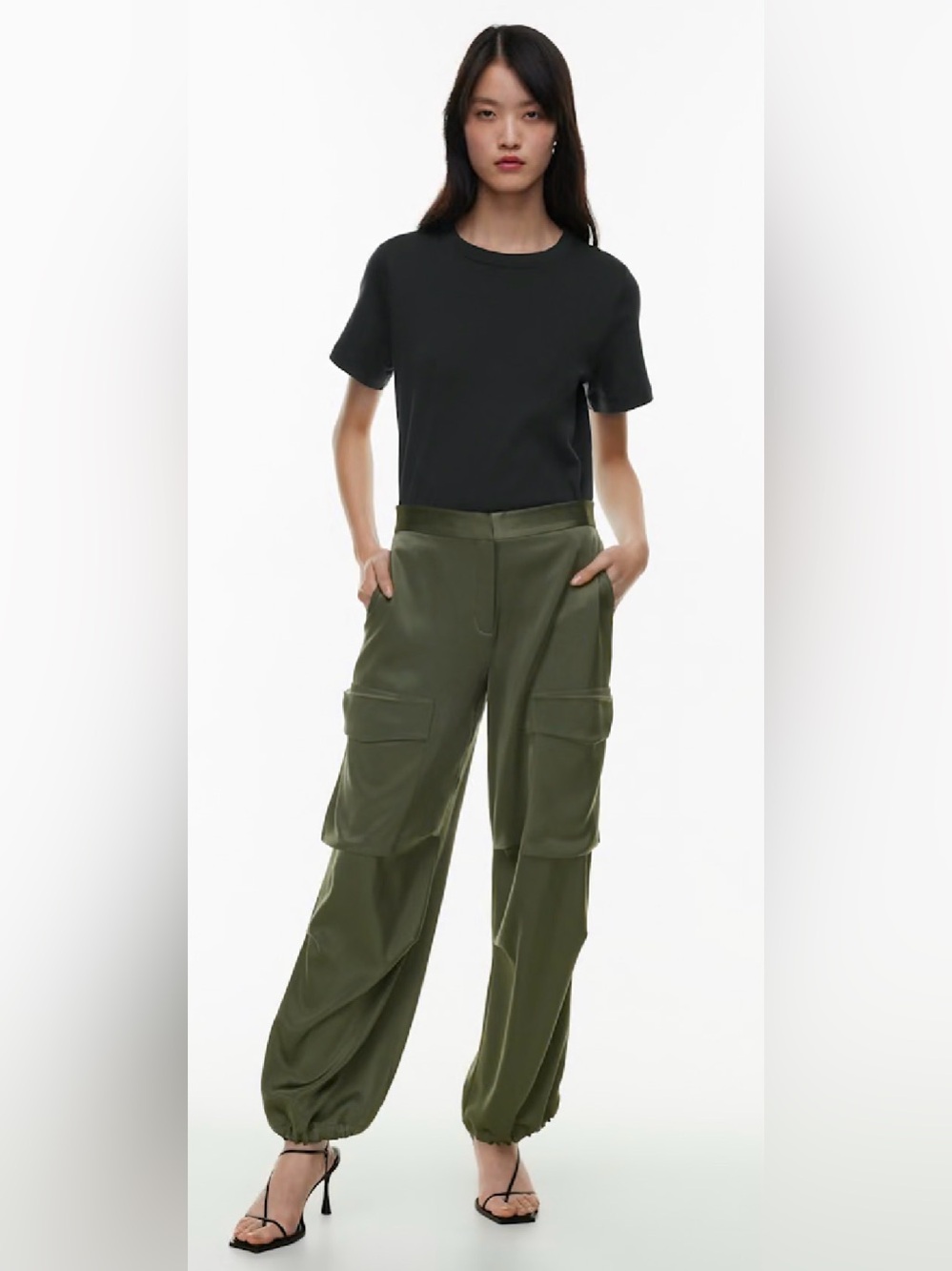BNWOT- Babaton Alliance Cargo Pants